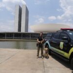 Concurso Câmara dos Deputados: 220 oportunidades para nível superior e salários acima de R$ 30 mil