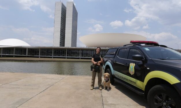 Concurso Câmara dos Deputados: 220 oportunidades para nível superior e salários acima de R$ 30 mil