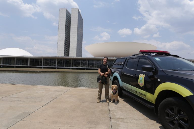 Concurso Câmara dos Deputados: 220 oportunidades para nível superior e salários acima de R$ 30 mil